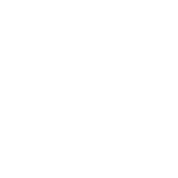Swarovski